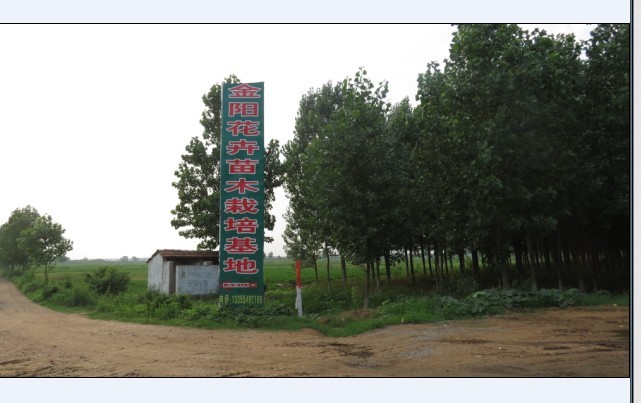 基地
