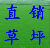 草坪
