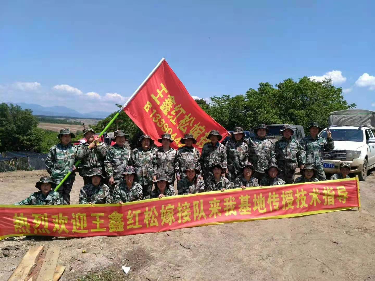 嫁接隊員