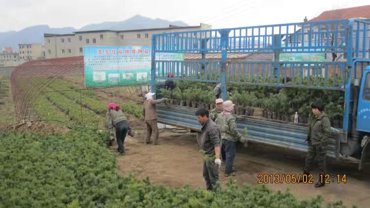 示范基地