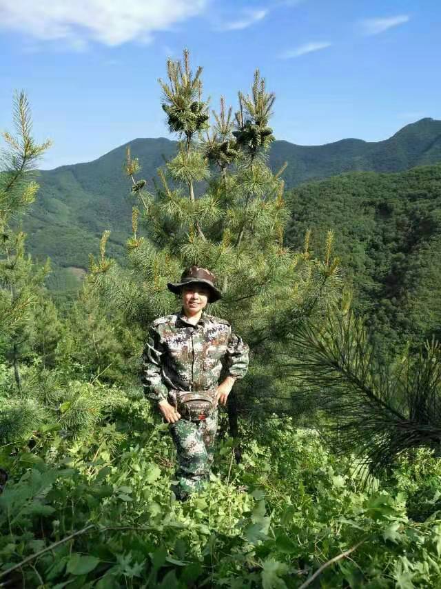 千畝優(yōu)質(zhì)基因種穗園