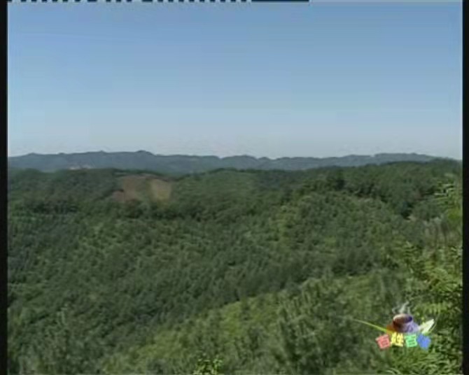 千畝優(yōu)質(zhì)基因種穗園