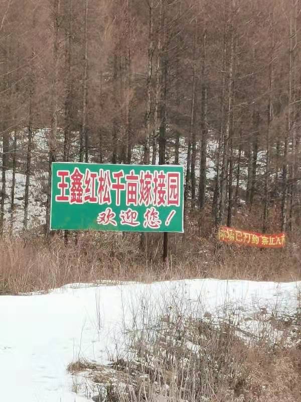 千畝嫁接園